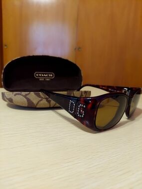Dolce & Gabbana Y2K Era Tortoise Studded Sunglasses with Signature Coach Case